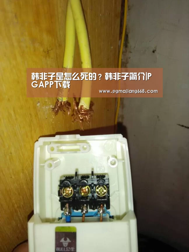 PG电子官方网站